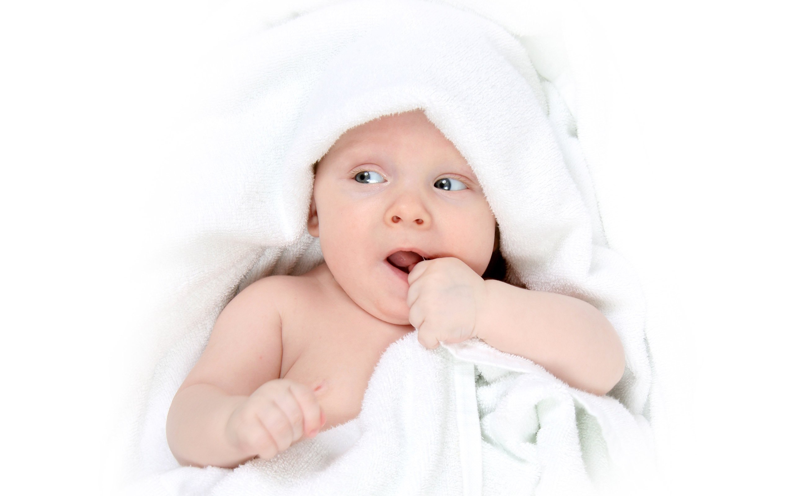 供卵代生试管婴儿成功案例